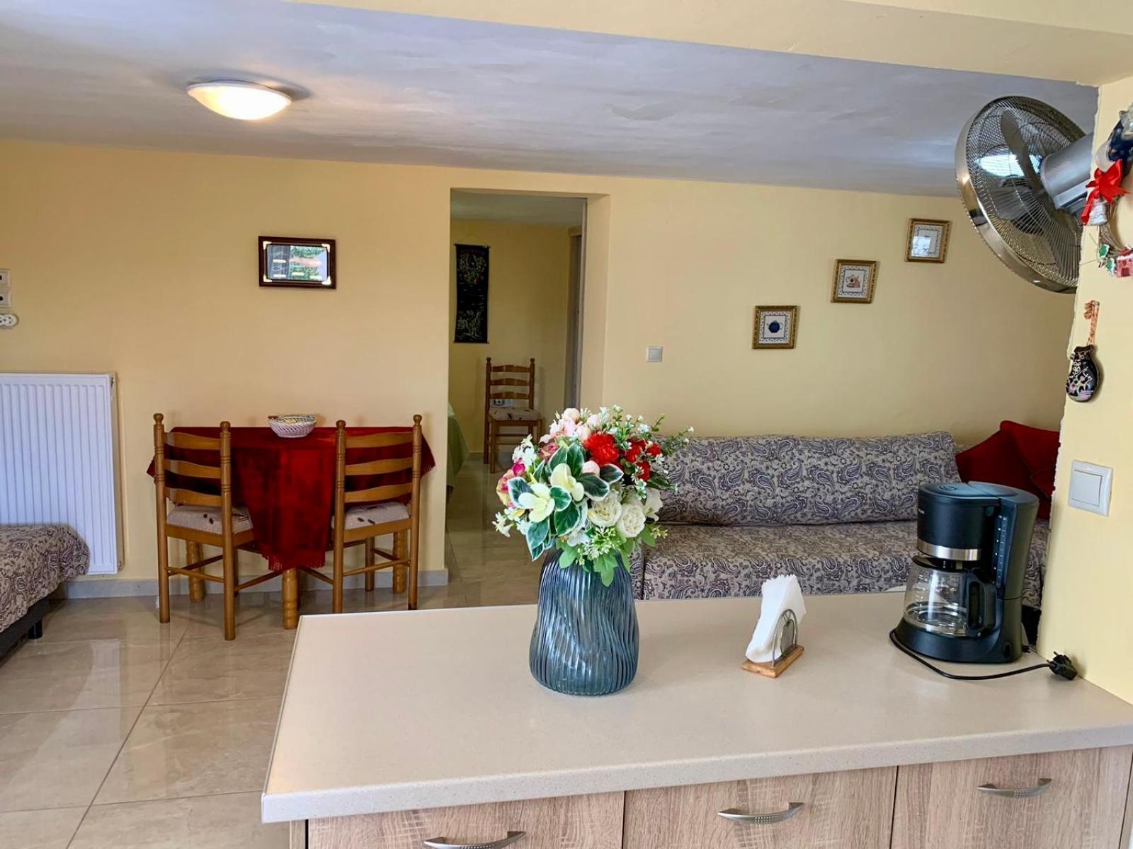 Sofia'S Seaview Villa Near Airport And Beach Artemida  Exterior foto
